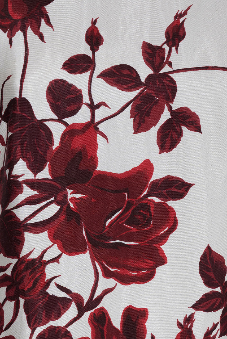 DRIES VAN NOTEN
