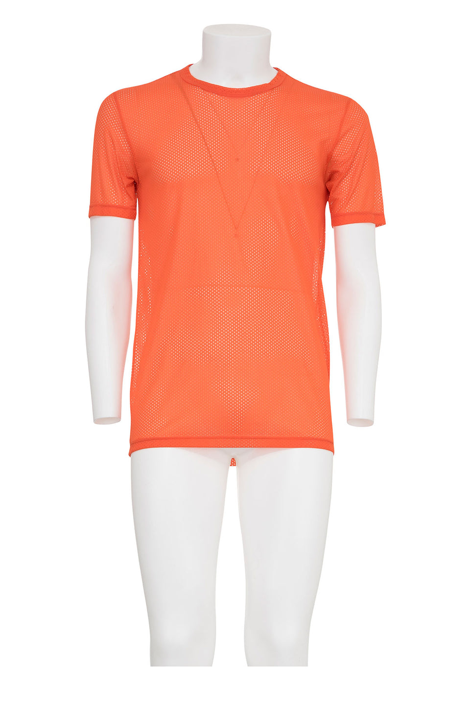 HELMUT LANG