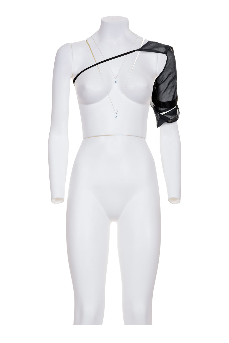 HELMUT LANG