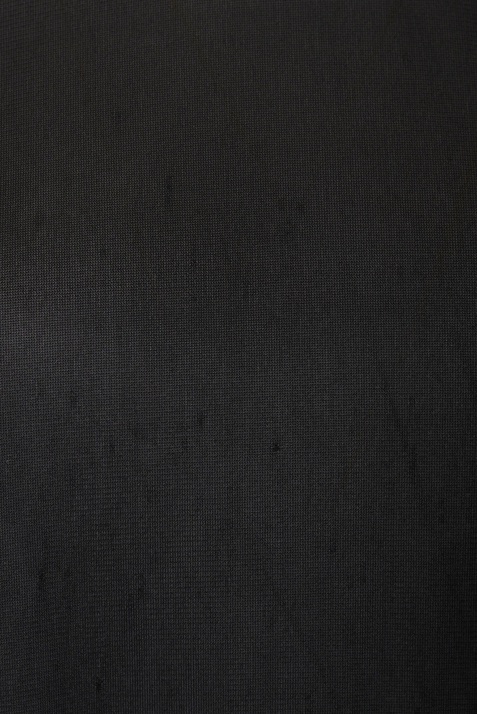 HELMUT LANG