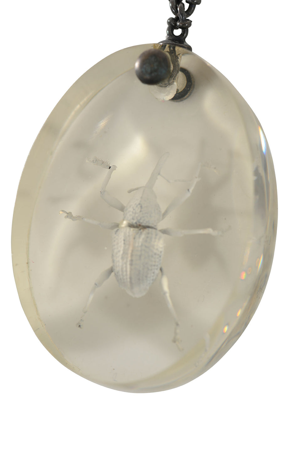 MAISON MARTIN MARGIELA