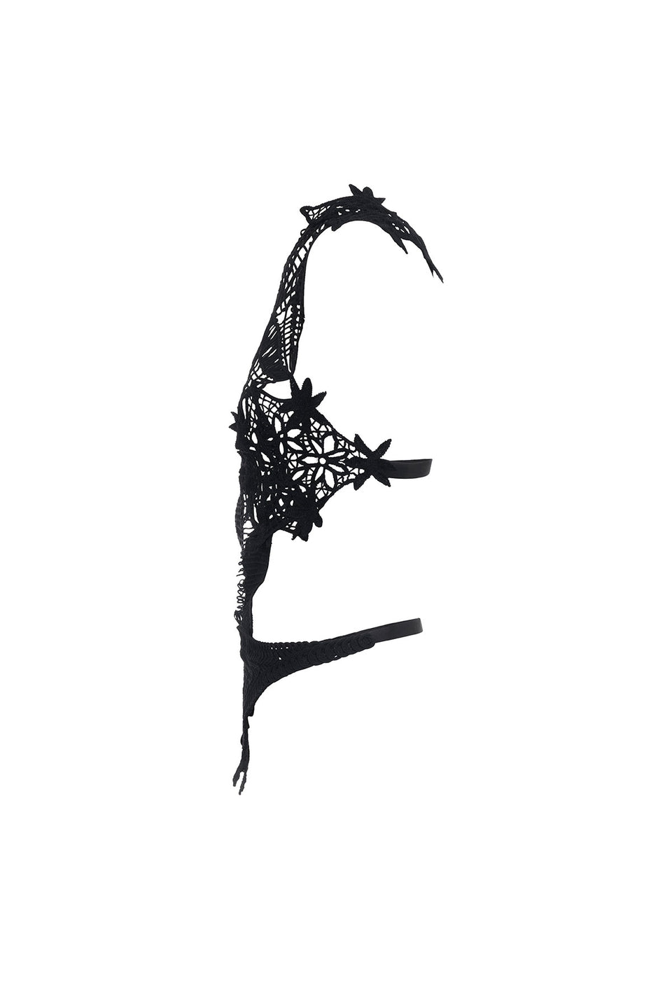 COMPENDIUM 01