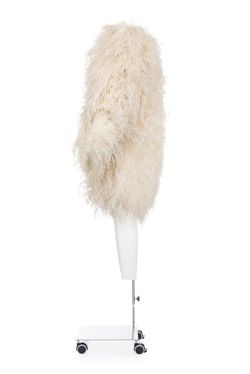 ROBERTO CAVALLI