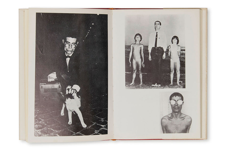 DIARY OF A PUNK ARTIST