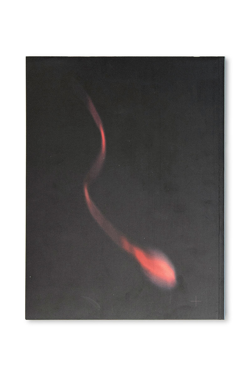 VISIONAIRE 35: MAN